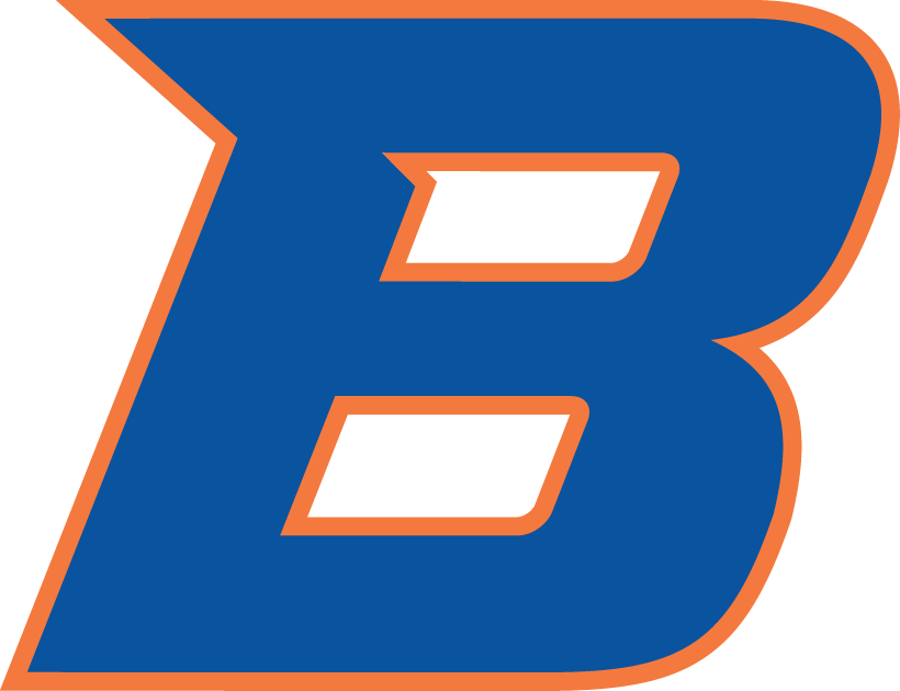 Boise State Broncos 2013-Pres Secondary Logo iron on transfers for fabric